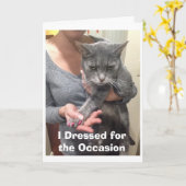 Angry Cat Birthday Card Kaart (Gele Bloem)