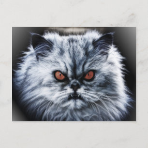 Angry Cat Briefkaart
