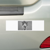 Angry Cat Bumpersticker (Op auto)
