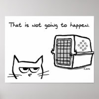 Angry Cat gaat NIET naar de Vet