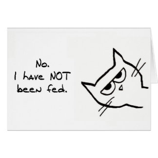 Angry Cat is NIET gevoed!