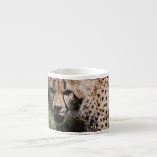 Angry Cheetah Espresso Kop (Voorkant)
