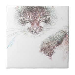 Angry Cute Cate Face Sketch Tegeltje