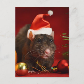 Angry dwerg. briefkaart