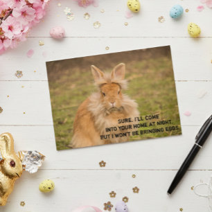 Angry Easter Bunny Funny Humour Carte de voeux