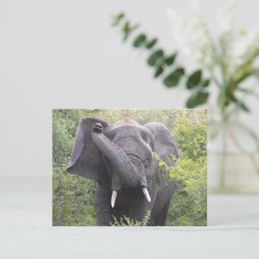 Angry Elephant Briefkaart (Staand voorkant)