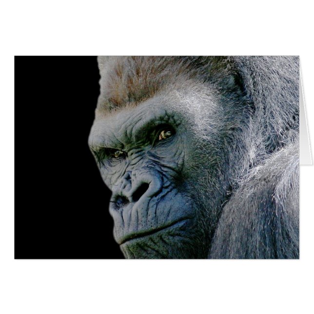 Angry Gorilla (Voorkant Horizontaal)