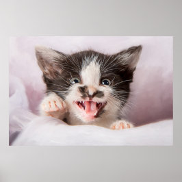 Angry Kitten met het effect van olieverf Poster