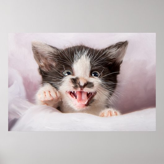 Angry Kitten met het effect van olieverf Poster (Voorkant)