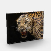 Angry Leopard Fotoblokken (Links)