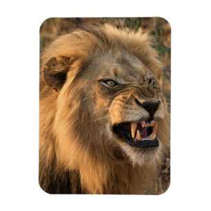 Angry LION koelkast Magnet UW Fotosjabloon Magneet