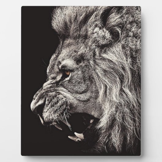 Angry Male Lion Fotoplaat (Voorkant)