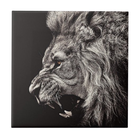 Angry Male Lion Tegeltje (Voorkant)