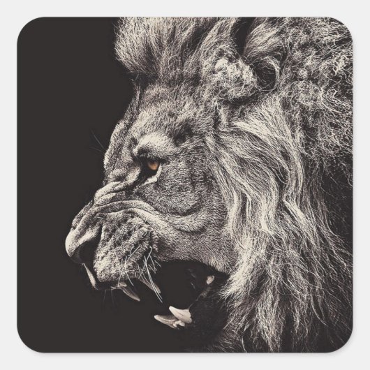 Angry Male Lion Vierkante Sticker (Voorkant)