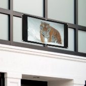 ANGRY TIGER Banner (Buitenkant Gebouw)