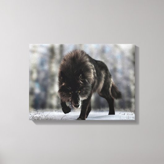 Angry zwarte wolf canvas afdruk (Voorkant)