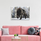 Angry zwarte wolf canvas afdruk (Insitu (Woonkamer))