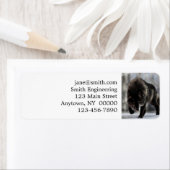 Angry zwarte wolf etiket (Insitu)