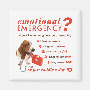 Angst - 54321 Aftellen - Dokter Hond - Bassett Magneet
