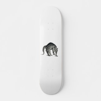 Angstige kat abstract skateboard