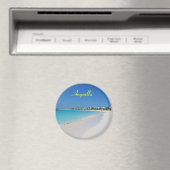 Anguilla aimant (In Situ (Lave-vaisselle))