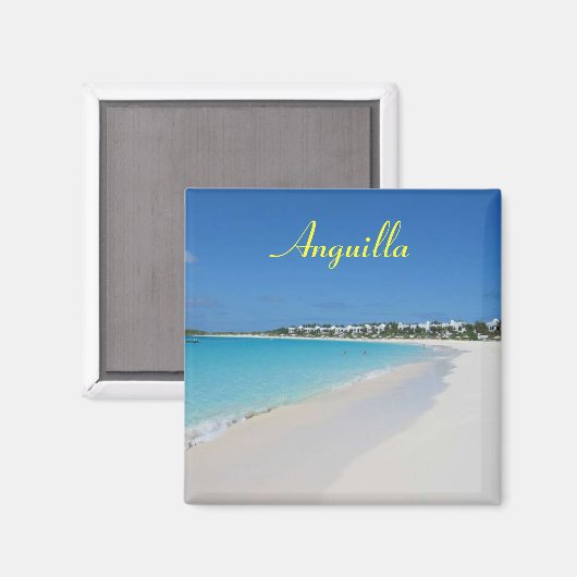 Anguilla aimant (Recto/Verso)