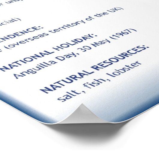 Anguilla Poster (Hoek)