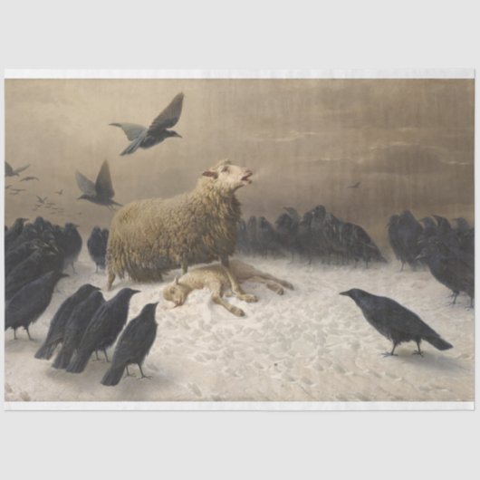 Anguish: Schapen met een dode lamp Tissuepapier (Voorkant)