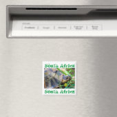 Angulate Tortoise Afrique du Sud Magnet nature (In Situ (Lave-vaisselle))