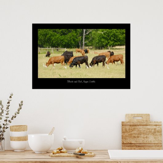 Angus Cattle Poster Print (Keuken)
