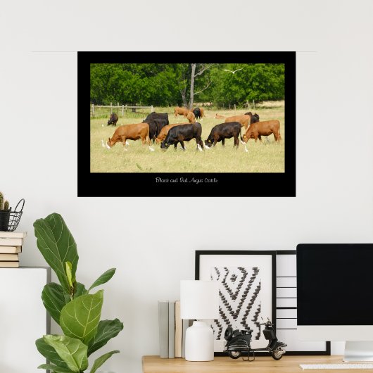 Angus Cattle Poster Print (Thuiskantoor)