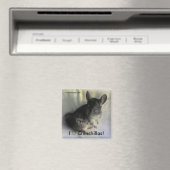 Angus Chinchilla Magnet Magneet (Insitu (Vaatwasser))