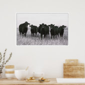 Angus Gang - Black Angus Cattle - Texas Poster (Keuken)