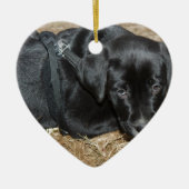 Angus Keramisch Ornament (Voorkant)