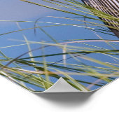 Anhinga bij de Pond Poster (Hoek)