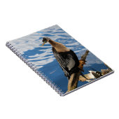 Anhinga Bird Photo Carnet Spiral (Côté Droit)
