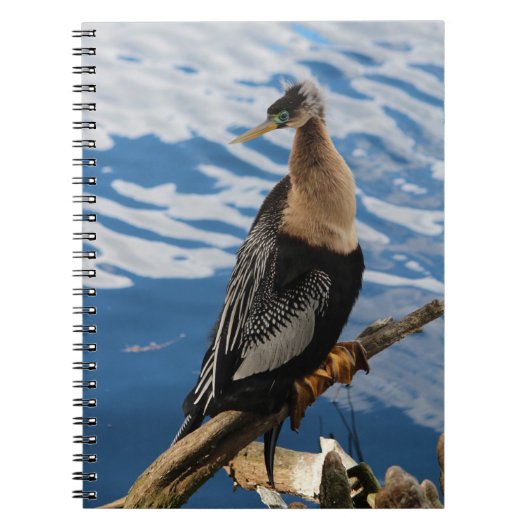 Anhinga Bird Photo Carnet Spiral (Devant)