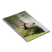 Anhinga Bird Spiral Photo Notitieboek (Rechterzijde)