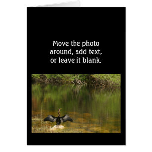 Anhinga op de Everglades - Visitekaartje