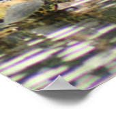 Anhinga Sécher Ses Plumes Poster Photo (Coin)