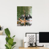 Anhinga Sécher Ses Plumes Poster Photo (Bureau à domicile)