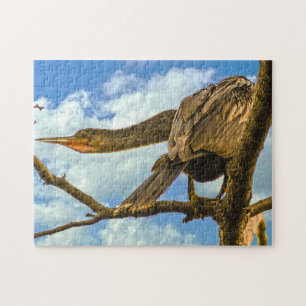 Anhinga Snakebird. Legpuzzel