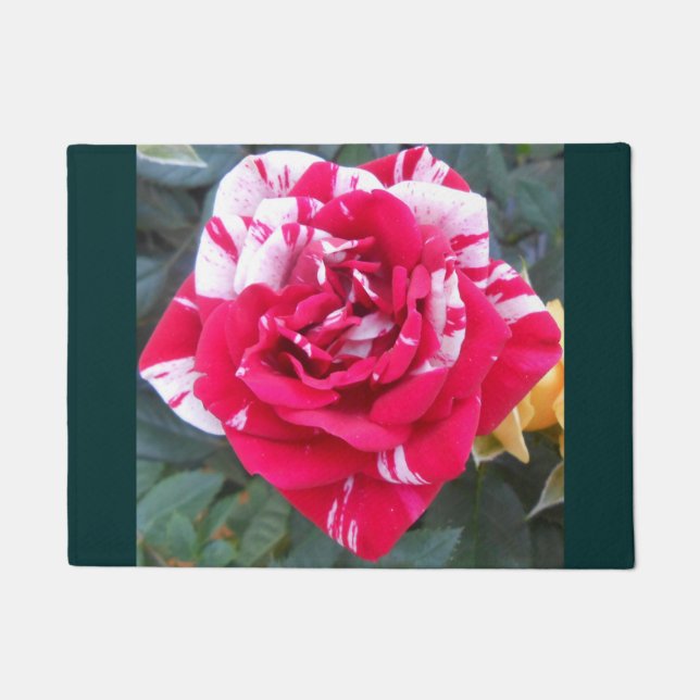 Anicia Deurmat (Voorkant)