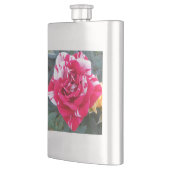 Anicia Flacon (Links)