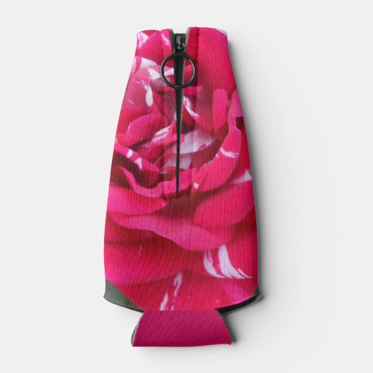 Anicia Flesjeskoeler (Achterkant)