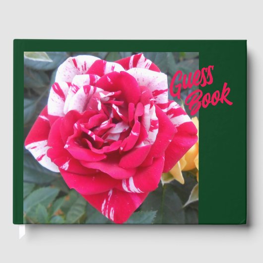 Anicia Gastenboek (Voorkant)