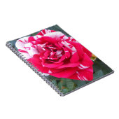 Anicia Notitieboek (Rechterzijde)