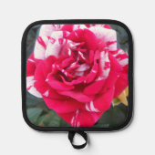 Anicia Pannenlap (Voorkant)