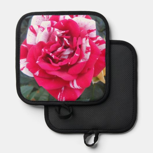 Anicia Pannenlap (Voorkant / Achterkant)