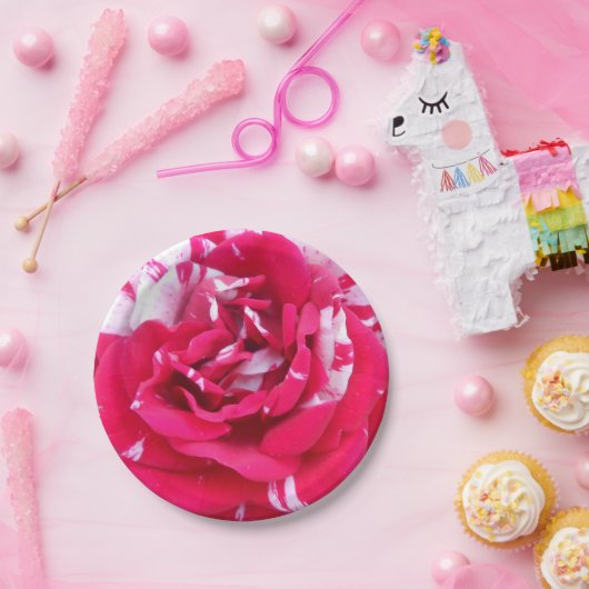 Anicia Papieren Bordje (Feest)